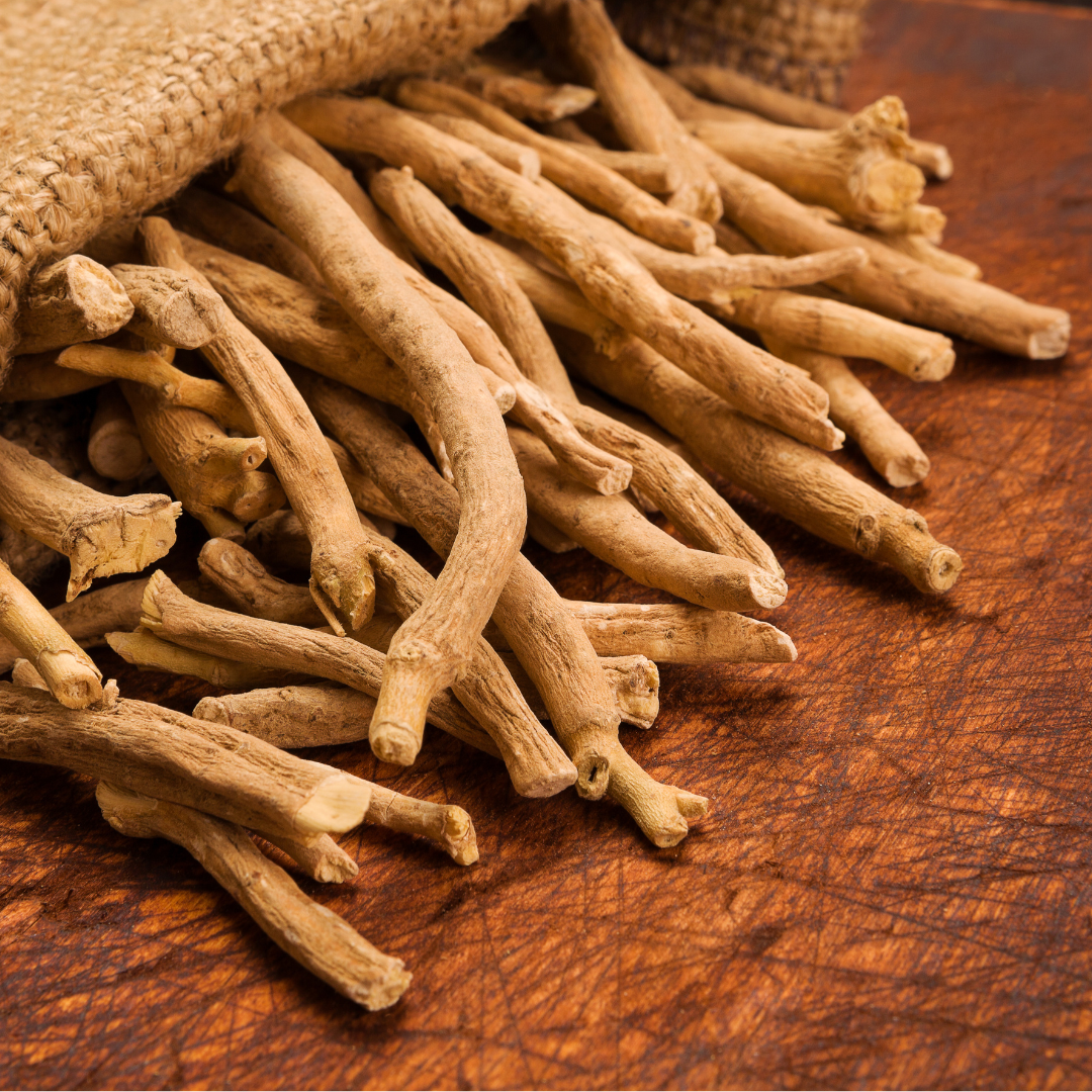 Dried ashwagandha root — a revered adaptogen in Ayurveda, traditionally used to calm the nervous system, reduce stress, and support overall vitality and resilience.


