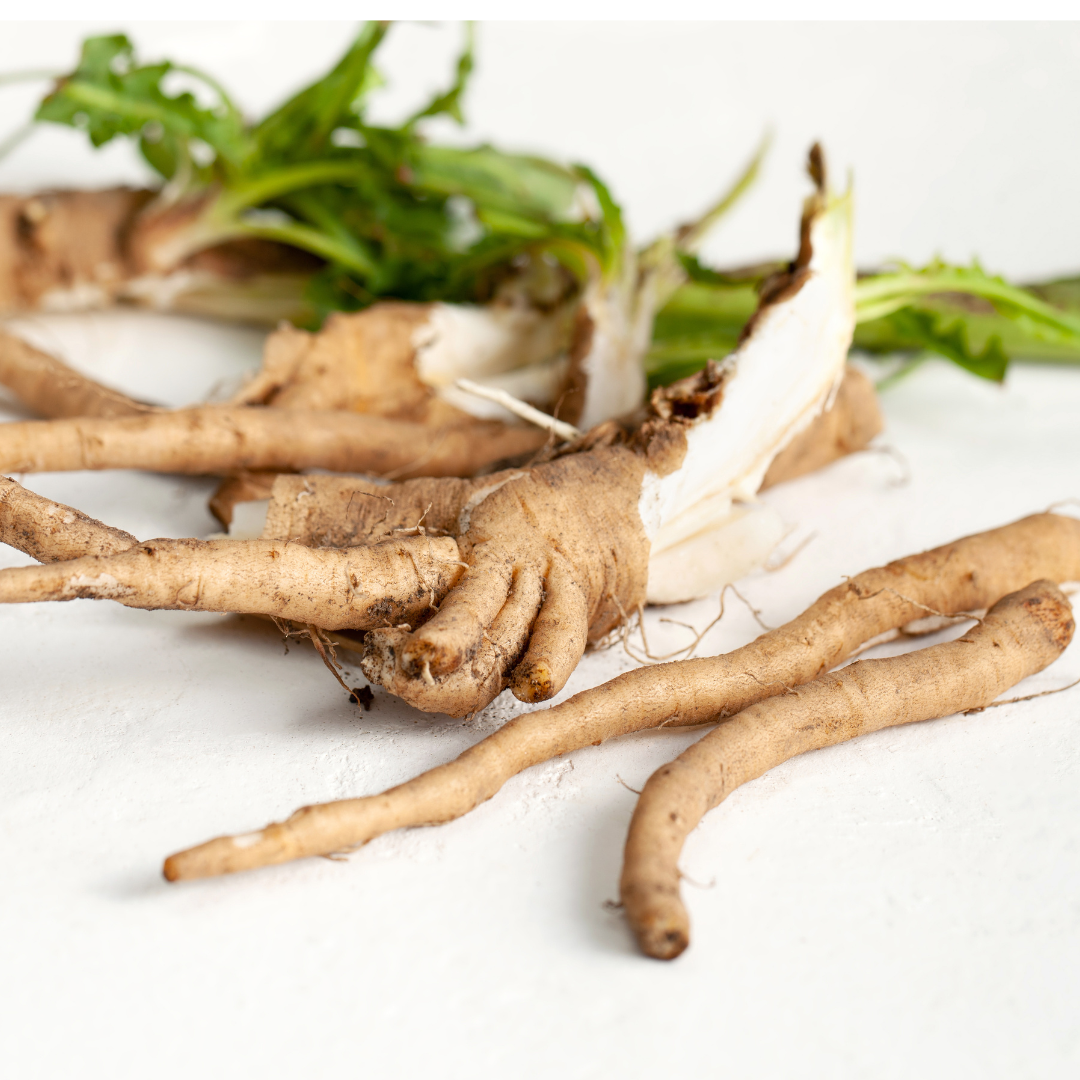 Chicory root — a caffeine-free herbal ally rich in inulin, traditionally used to support digestion, gut health, and liver function. Earthy and grounding, often brewed as a coffee substitute.