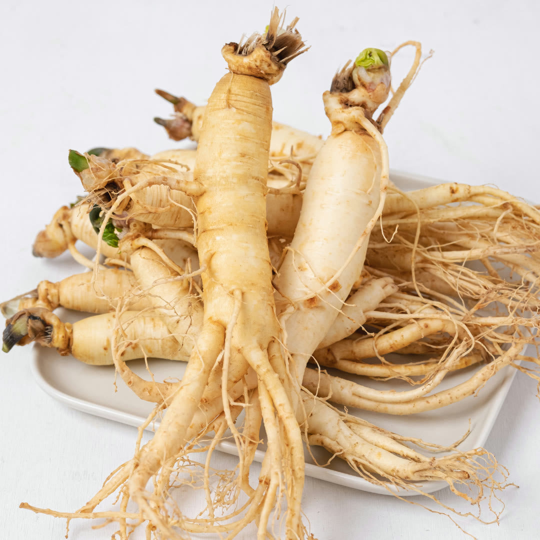 Ginseng