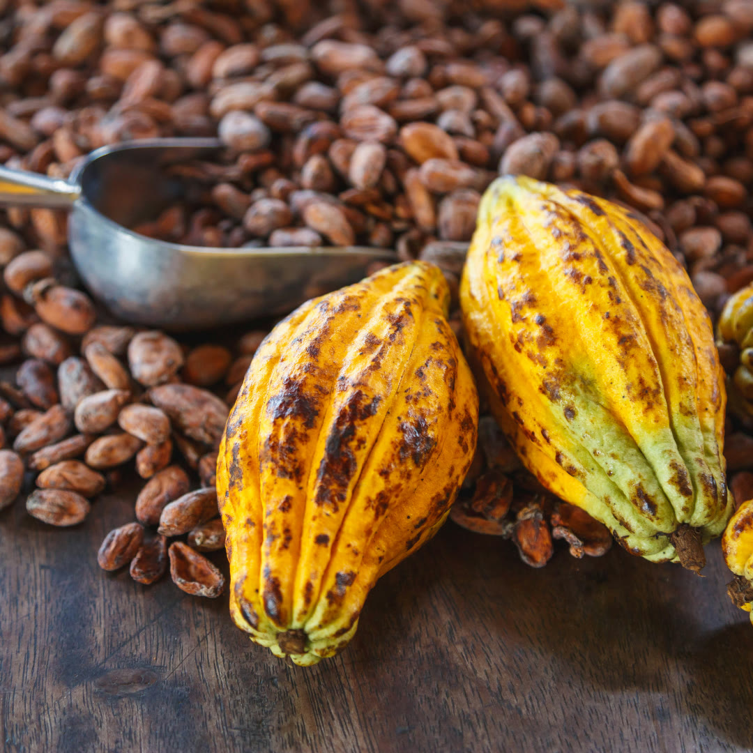 Raw Cacao
