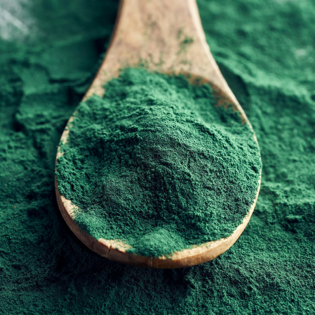 Spirulina